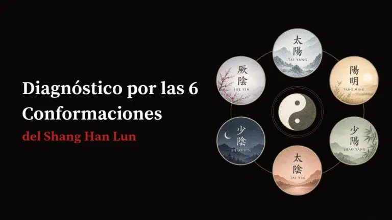 Introducción a Las 6 Conformaciones del Shang Han Lun: Diagnóstico Clásico y Protocolos Clínicos
