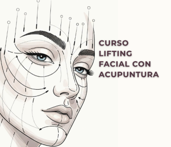 Curso Lifting Facil con Acupuntura